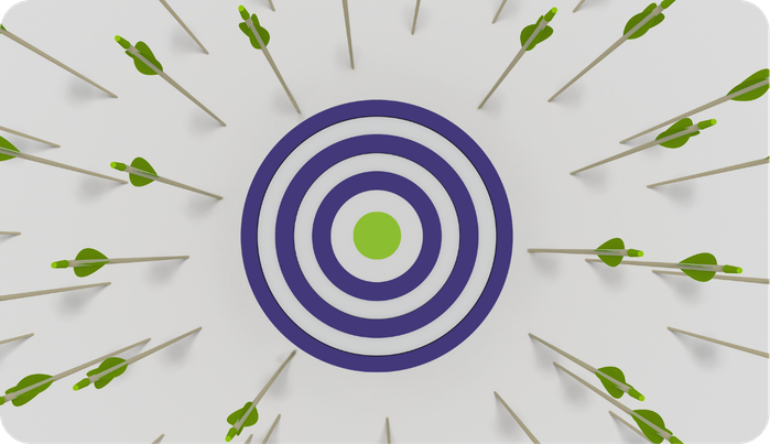 Arrows missing a target representing Integrated Risk Management Programmes falling short